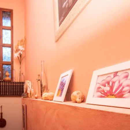 Casa Les Pedroses Apartment